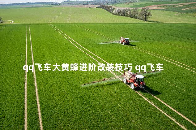 qq飞车大黄蜂进阶改装技巧 qq飞车大黄蜂极夜好吗